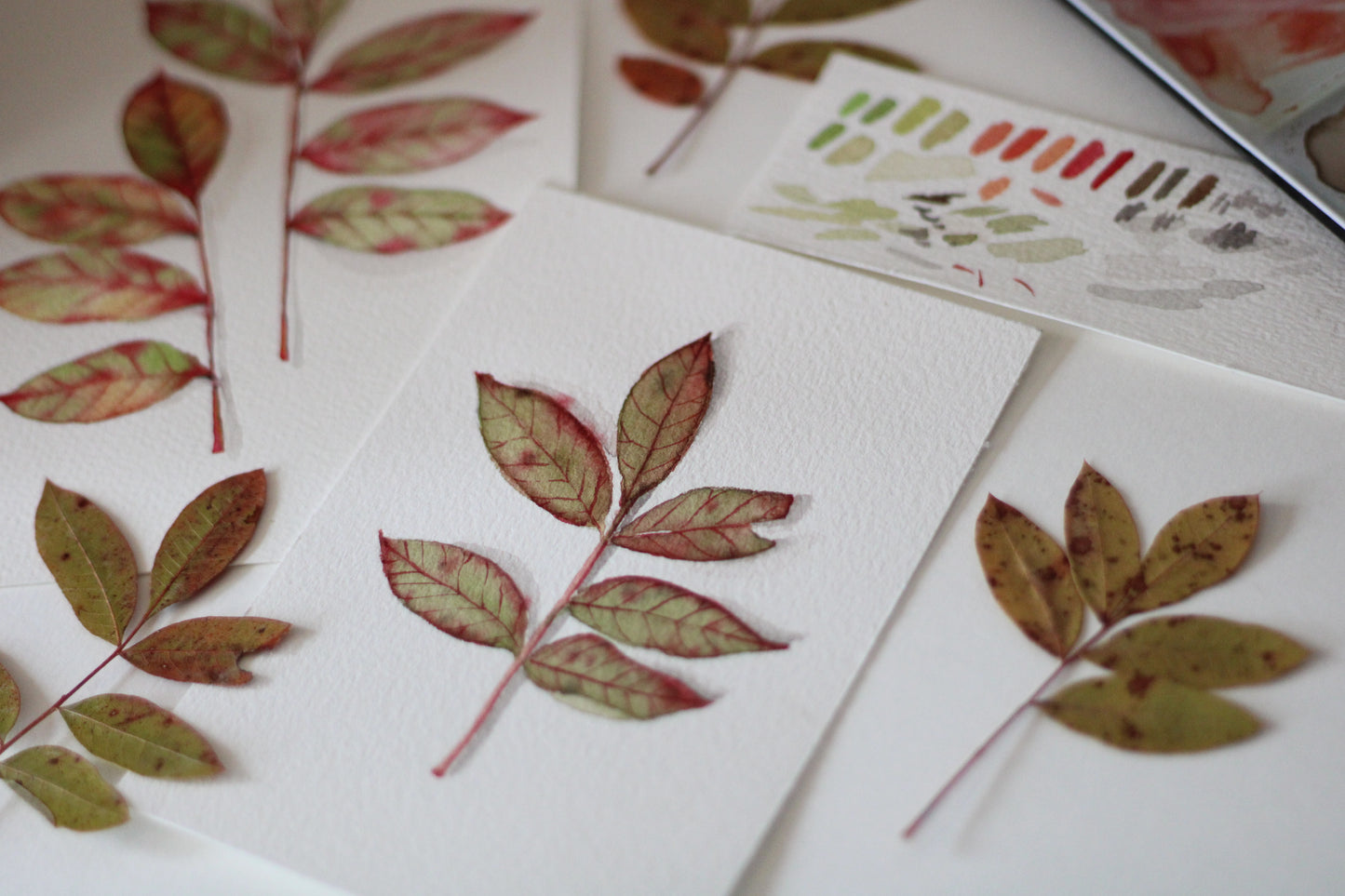 Carte-Cadeau Atelier Aquarelle (matériels fournis)